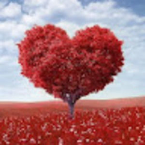 Meet your Posher, Gabrielle